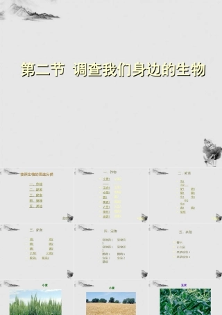 七年级生物上册 我们身边的生物图片1课件 人教新课标版 课件