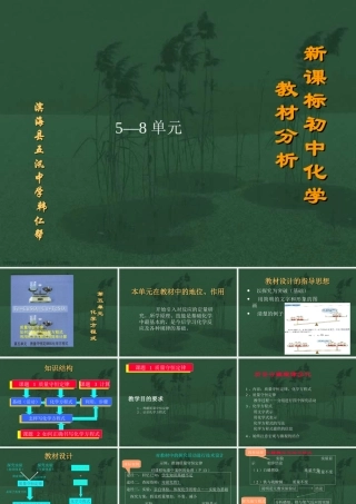 初中化学教材分析5—8单元 新课标 人教版 课件