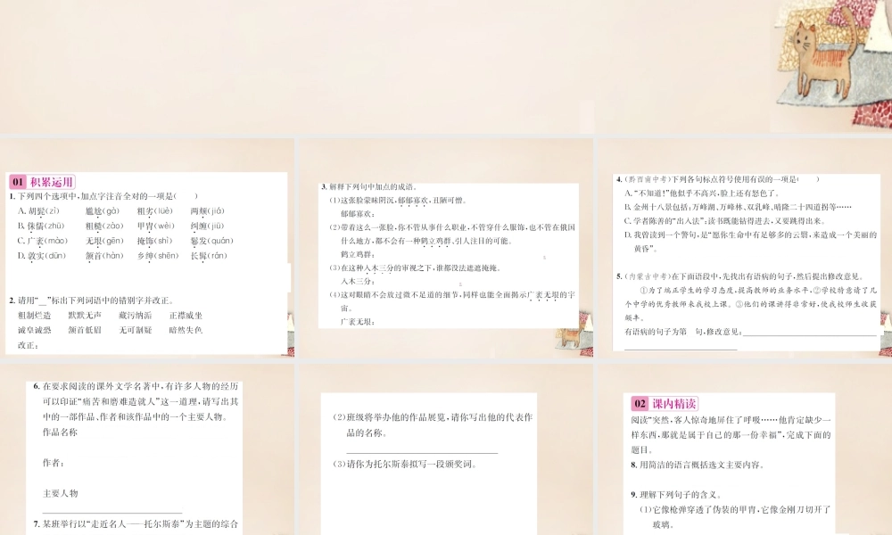 八年级语文下册 第1单元 4(列夫托尔斯泰)练习课件 (新版)新人教版 课件