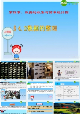 七年级数学上册：§4.2数据的整理 课件 泰山般 课件