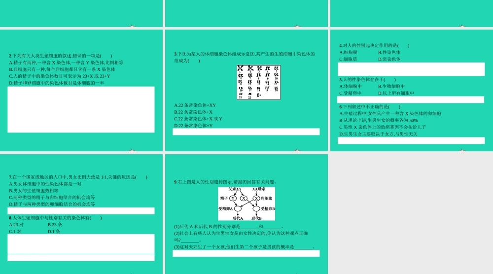 八年级生物下册 6.2.1 遗传(第3课时)课件 (新版)冀教版 课件