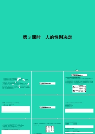 八年级生物下册 6.2.1 遗传(第3课时)课件 (新版)冀教版 课件