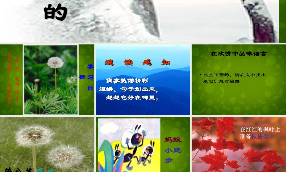 八年级语文上册 第四单元 你一定会听见的课件 新人教版 课件