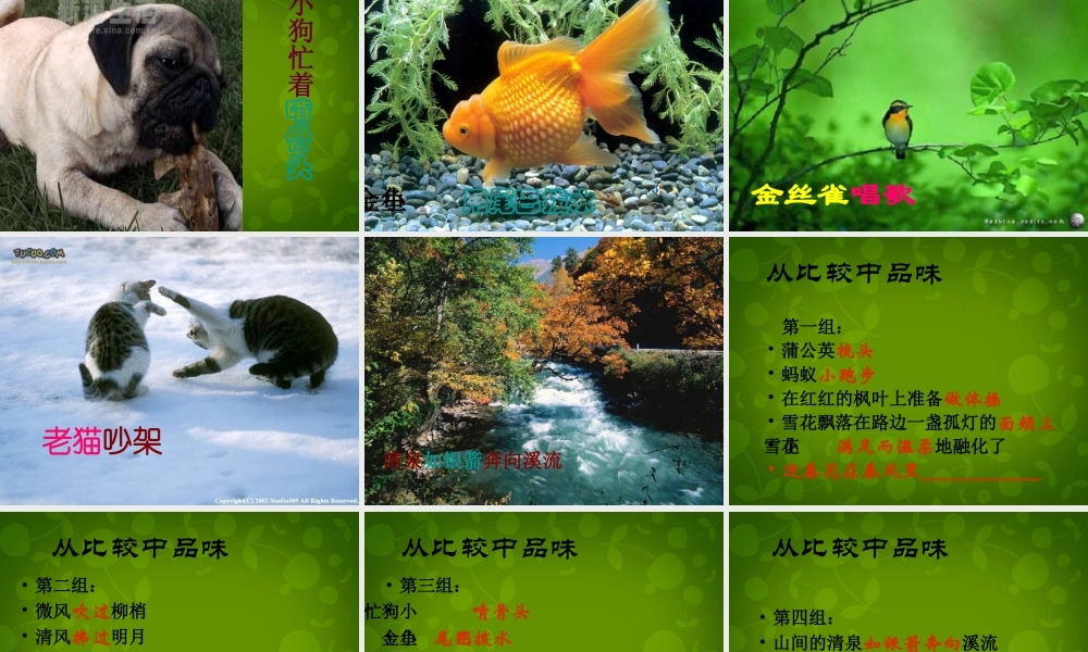 八年级语文上册 第四单元 你一定会听见的课件 新人教版 课件