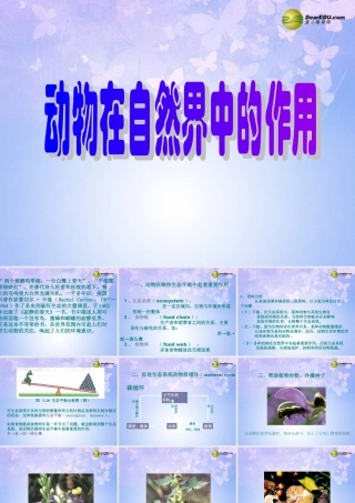 八年级生物上册 5.3.1 动物在自然界中的作用课件 新人教版 课件