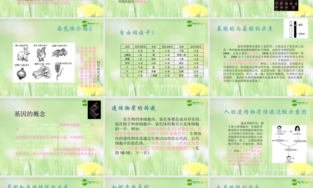 八年级生物下册 生物的遗传课件 苏科版 课件