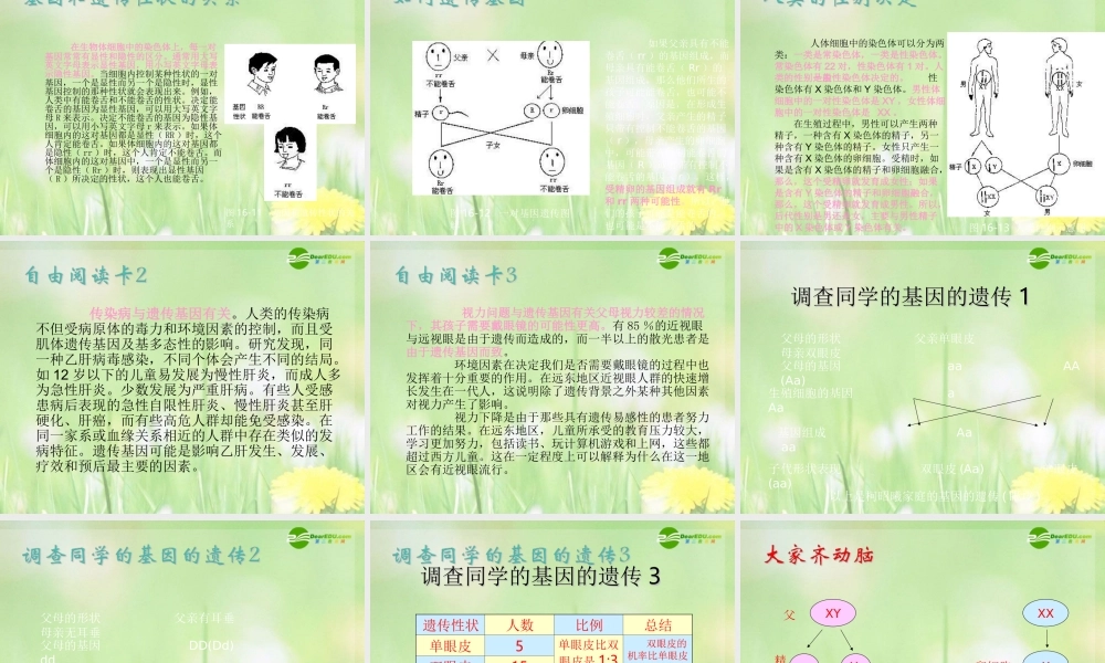 八年级生物下册 生物的遗传课件 苏科版 课件