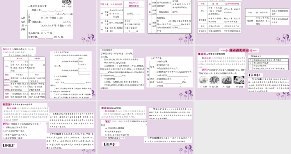 云南省中考化学一轮考点复习 第十二单元 化学与生活课件