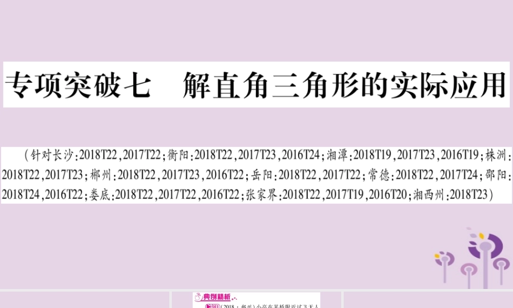 中考数学复习 第二轮 中档题突破 专项突破7 解直角三角形的实际应用导学课件
