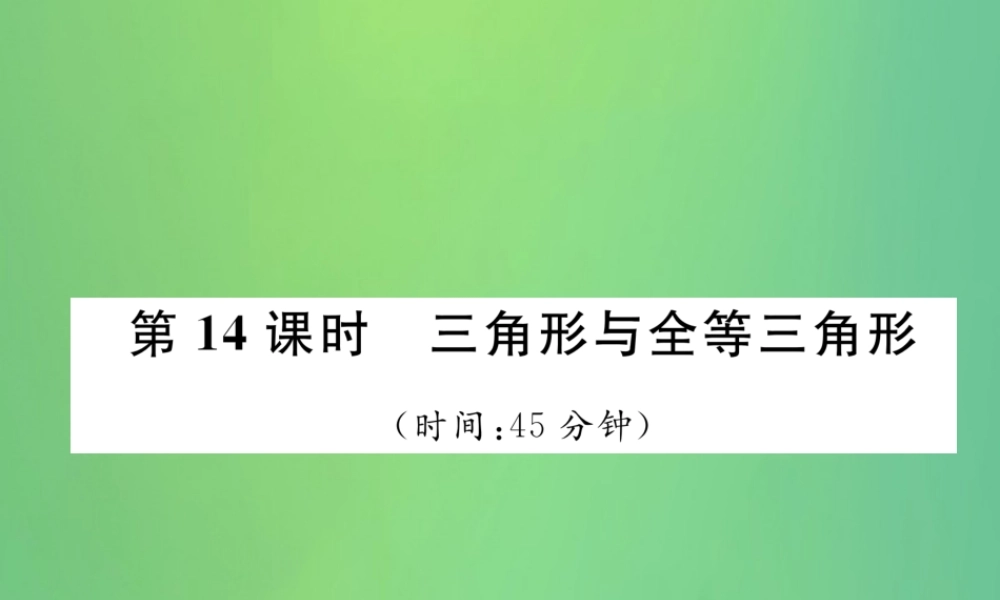 中考数学复习 第4章 图形的性质 第14课时 三角形与全等三角形(精练)课件