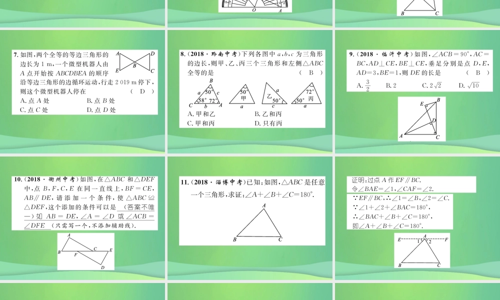 中考数学复习 第4章 图形的性质 第14课时 三角形与全等三角形(精练)课件