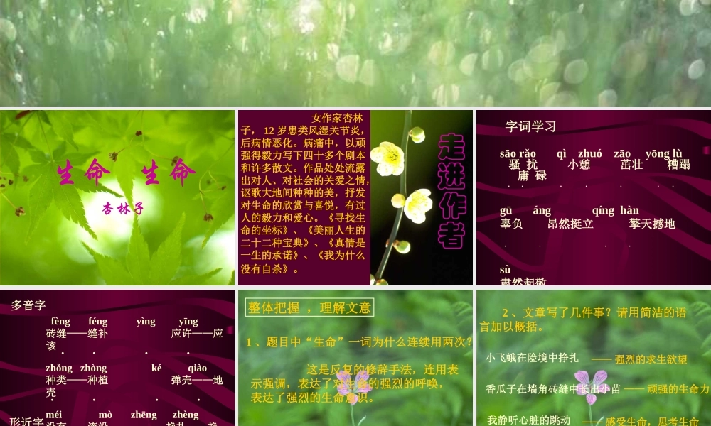 七年级语文上(3 生命生命)课件5人教版 课件