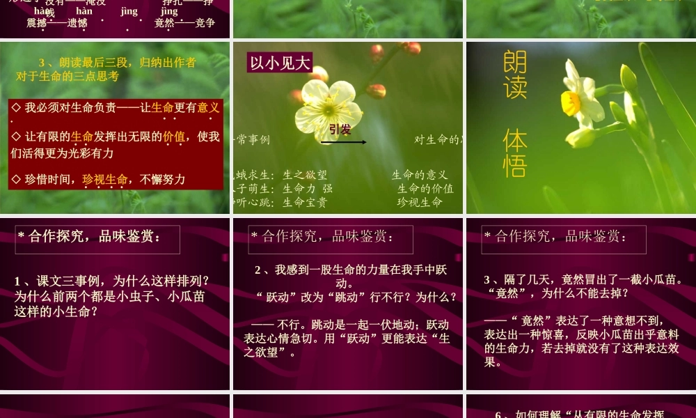 七年级语文上(3 生命生命)课件5人教版 课件