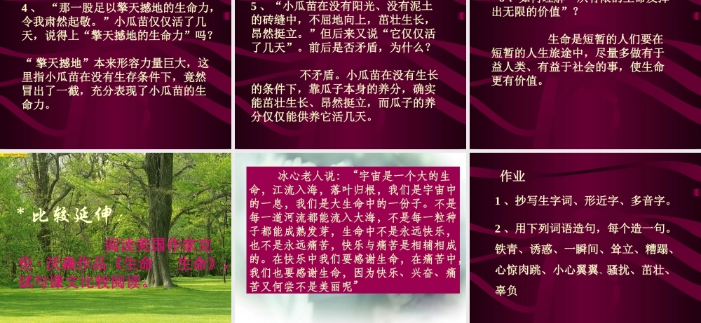 七年级语文上(3 生命生命)课件5人教版 课件