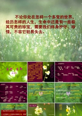 七年级语文上(3 生命生命)课件5人教版 课件