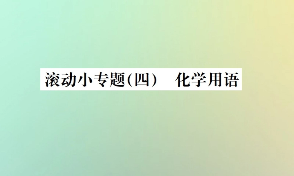 中考化学复习 滚动小专题(四)化学用语课件