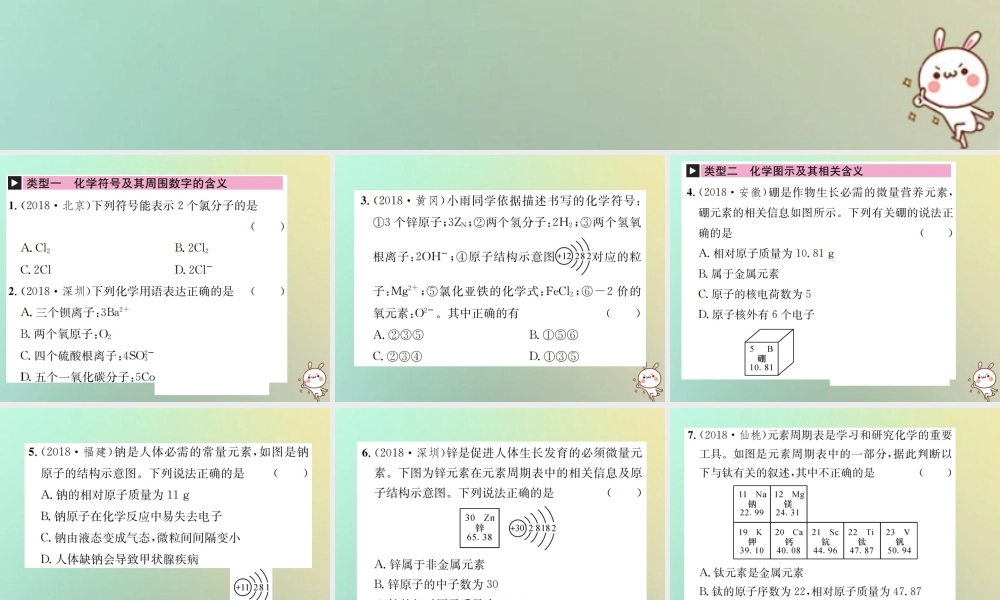 中考化学复习 滚动小专题(四)化学用语课件