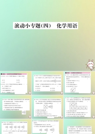 中考化学复习 滚动小专题(四)化学用语课件