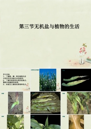 八年级生物上册 3.2.3 无机盐与植物的生活课件 (新版)冀教版 课件