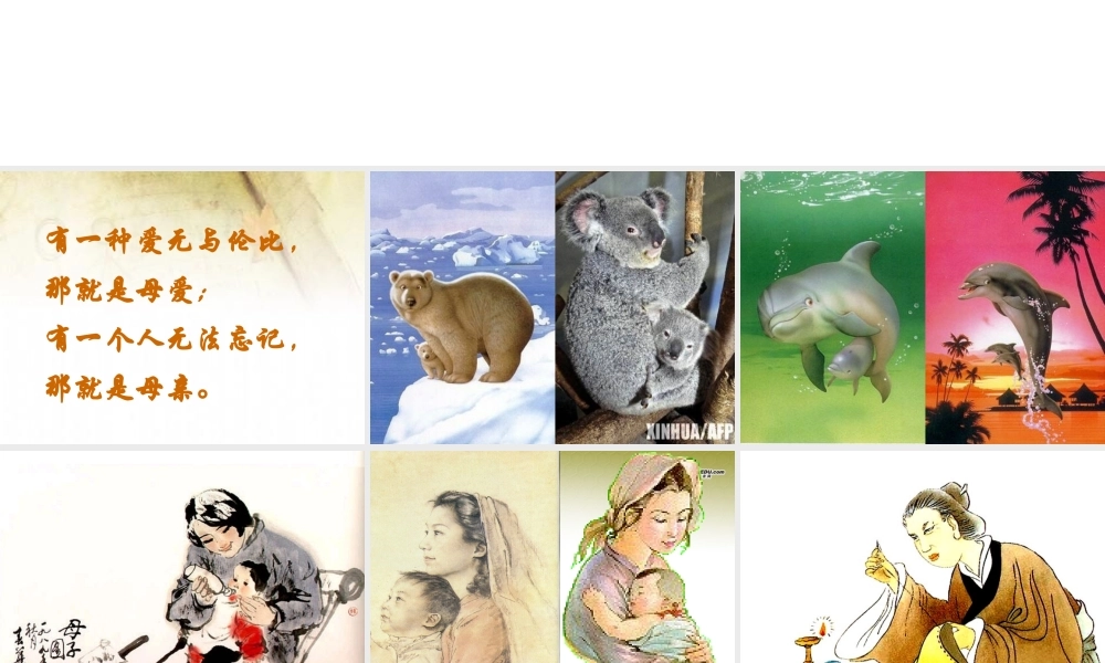 八年级语文下册 2.我的母亲(浅层阅读+深层阅读+语文积累)课件 新人教版 课件