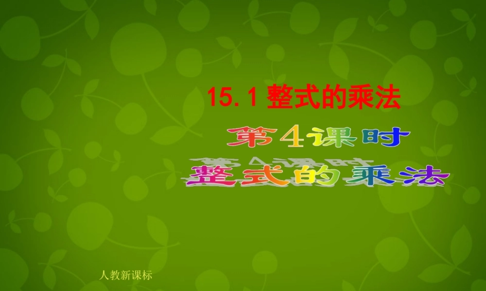 八年级数学上册 15.1 整式的乘法(第4课时)课件 新人教版 课件