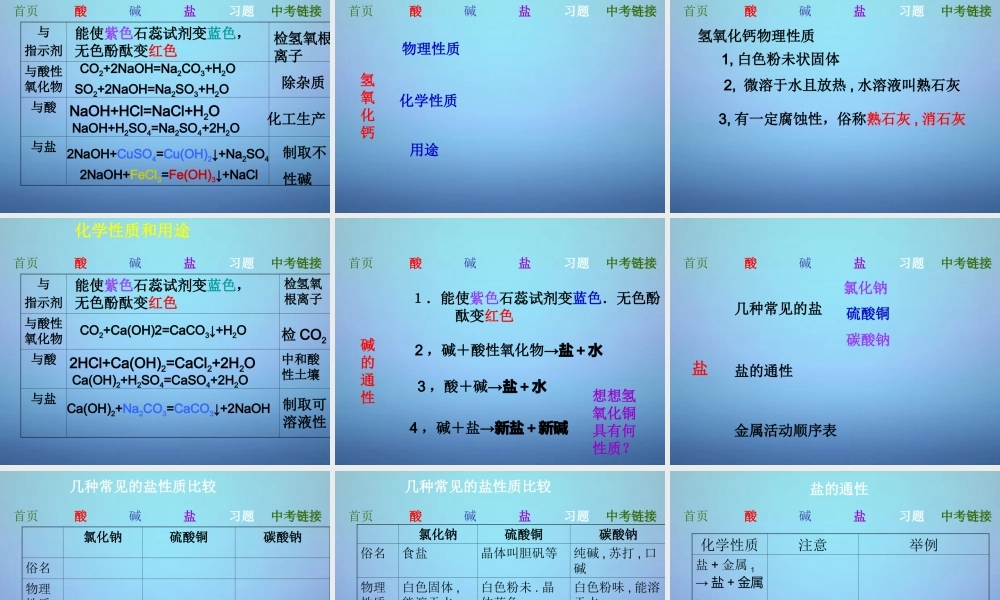 中考化学 酸碱盐复习课件 沪教版 课件