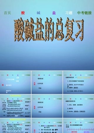 中考化学 酸碱盐复习课件 沪教版 课件