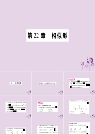 九年级数学上册 第22章 相似形 221 比例线段 第1课时 相似图形与比例线段作业课件 (新版)沪科版 课件