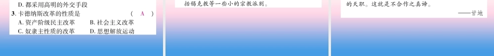 九年级历史下册 第3单元 第一次世界大战和战后初期的世界 第12课 亚非拉民族民主运动的高涨自主学习课件 新人教版 课件