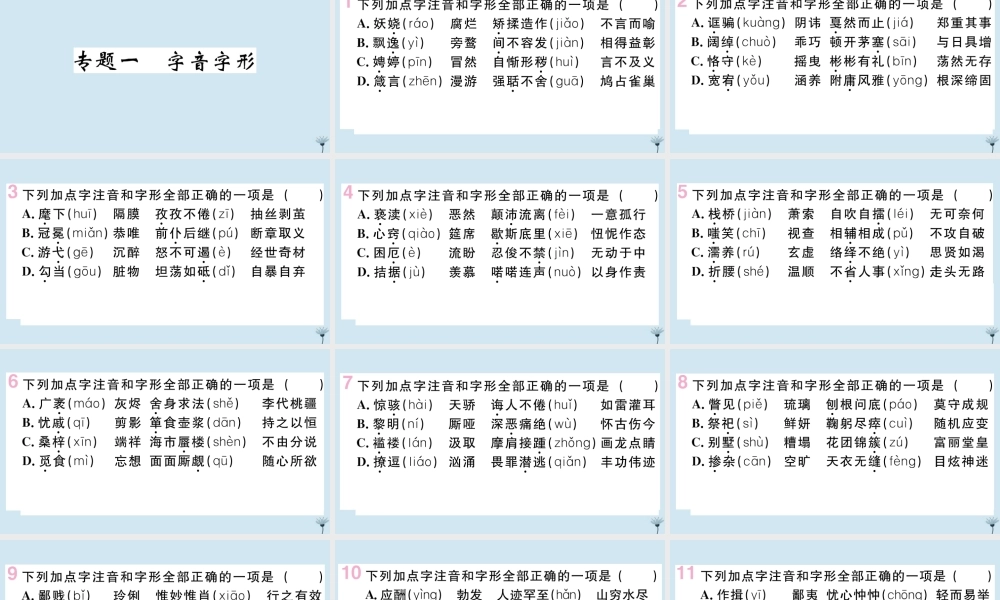 九年级语文上册 专题一 字音字形作业课件 新人教版 课件