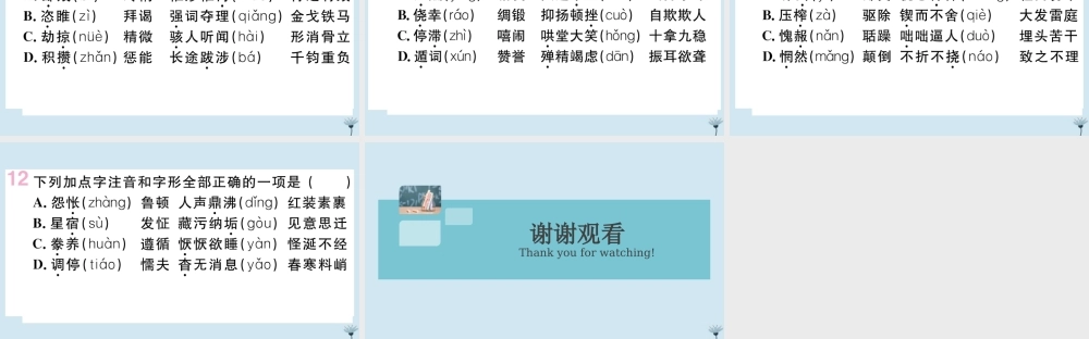 九年级语文上册 专题一 字音字形作业课件 新人教版 课件