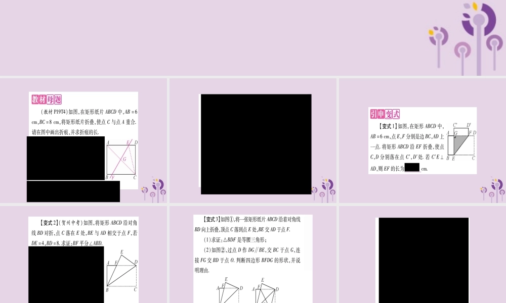 九年级数学上册 第一章 特殊平行四边形 教材回归 矩形中的折叠问题作业课件 (新版)北师大版 课件