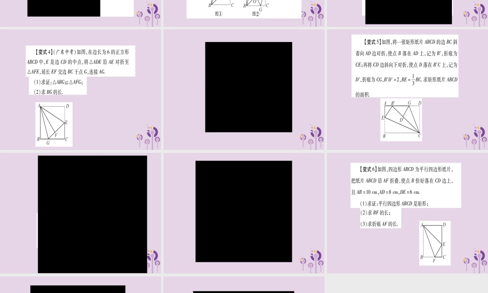 九年级数学上册 第一章 特殊平行四边形 教材回归 矩形中的折叠问题作业课件 (新版)北师大版 课件