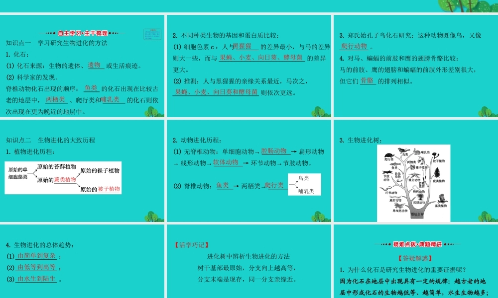 八年级生物下册 7.3.2地球上生命的起源习题课件(新版)新人教版 课件