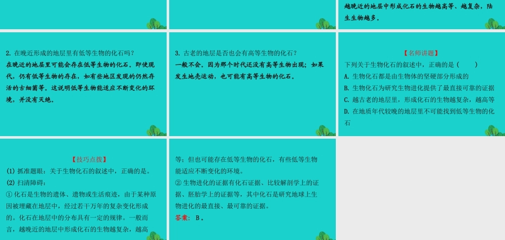 八年级生物下册 7.3.2地球上生命的起源习题课件(新版)新人教版 课件