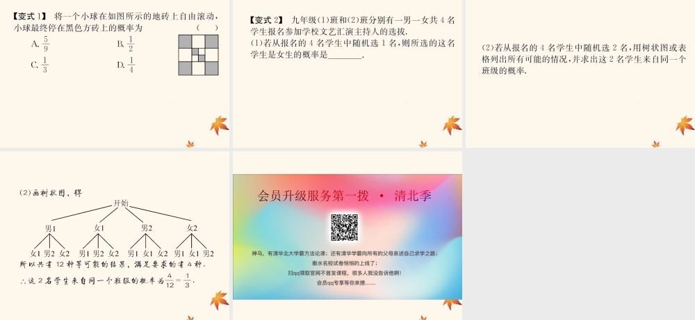 中考数学复习 第31课时 概率 3 典型例题剖析(课后作业)课件