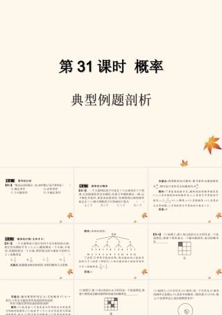 中考数学复习 第31课时 概率 3 典型例题剖析(课后作业)课件