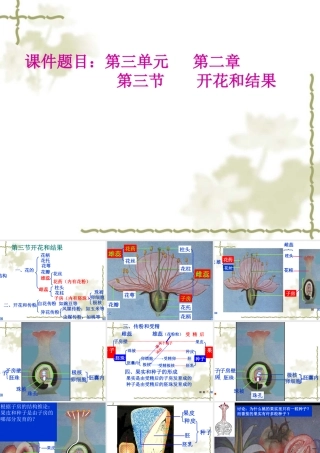 七年级生物 开花和结果 课件