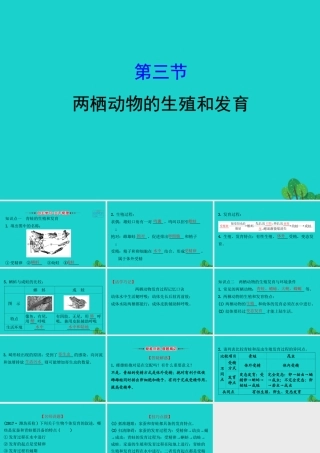 八年级生物下册 7.1.3两栖动物的生殖和发育习题课件(新版)新人教版 课件