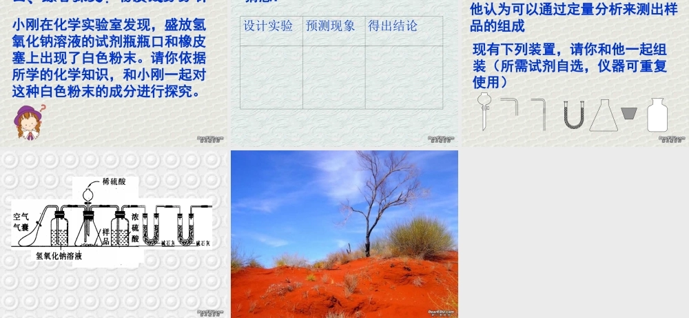 初三化学酚酞探究课 上教版 课件