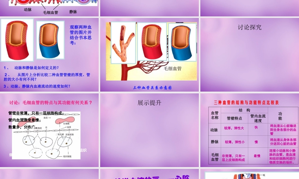中学七年级生物下册 10.2 人体内的血液循环课件2 (新版)苏教版 课件