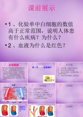 中学七年级生物下册 10.2 人体内的血液循环课件2 (新版)苏教版 课件