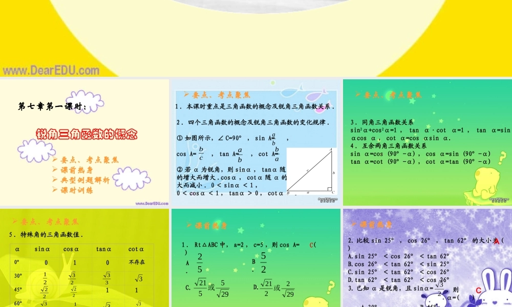 中考数学复习锐角三角函数的概念 新课标 人教版 试题