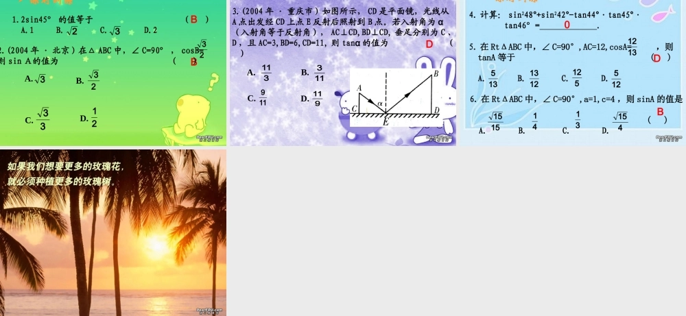 中考数学复习锐角三角函数的概念 新课标 人教版 试题