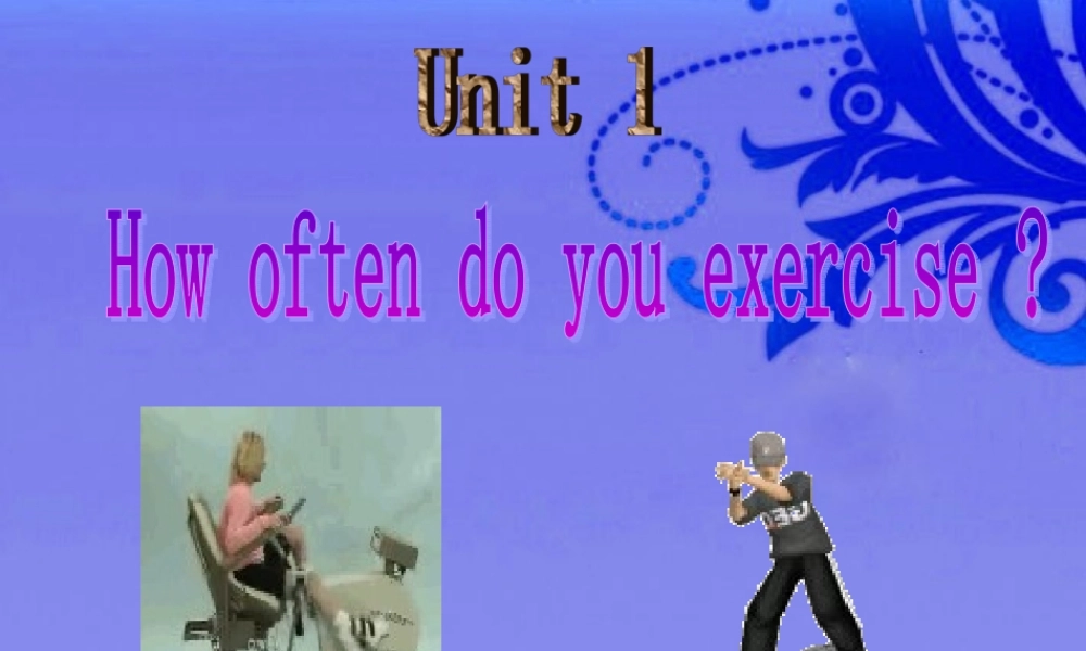八年级英语上册 unit1 How often do you exercise period 3课件 人教新目标版 课件