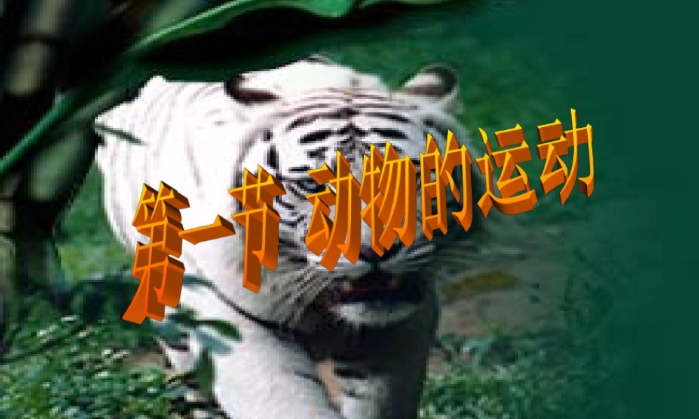 八年级生物 动物的运动课件