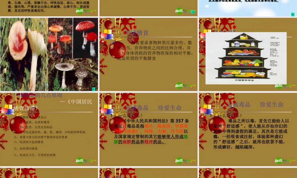 九年级科学下册 第5节 照顾好你的身体课件 浙教版 课件