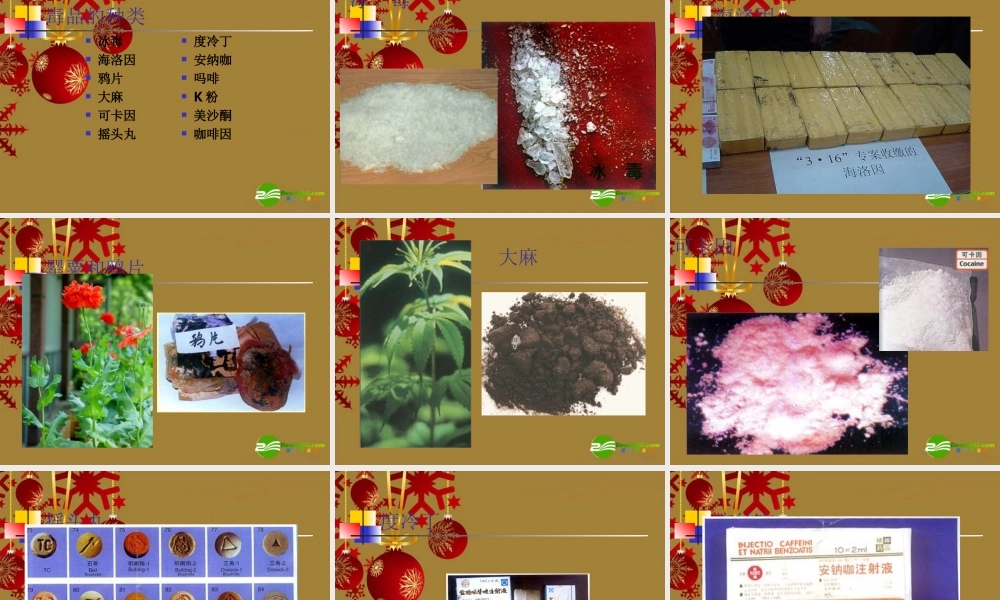 九年级科学下册 第5节 照顾好你的身体课件 浙教版 课件