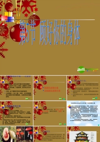 九年级科学下册 第5节 照顾好你的身体课件 浙教版 课件