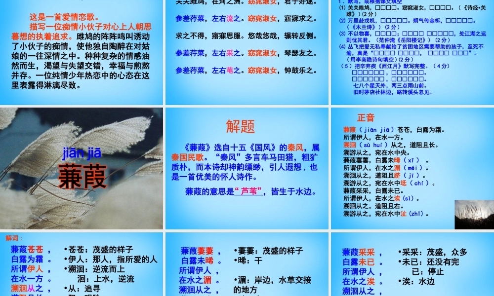 九年级语文下册 第24课(诗经)两首课件 新人教版 课件